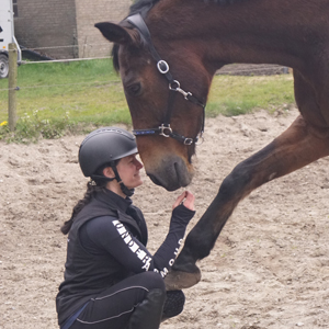 Jeannette Martens, bewegingsanalist, Mastery, Horse Gait analysis
