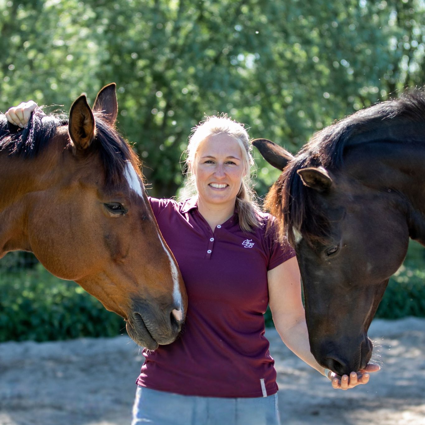 Marieke Wispels, bewegingsanalist, Mastery, Horse Gait analysis