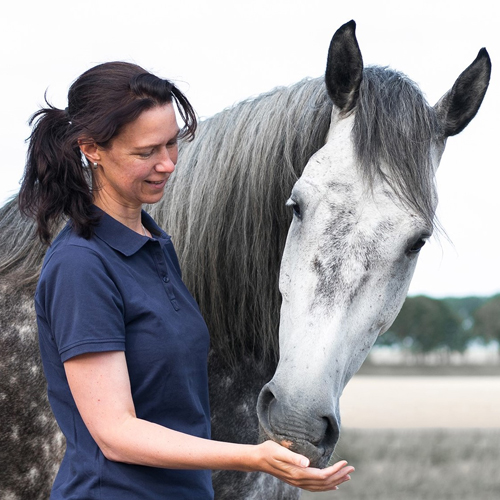 Cindy Nutall, bewegingsanalist, Mastery, Horse Gait analysis