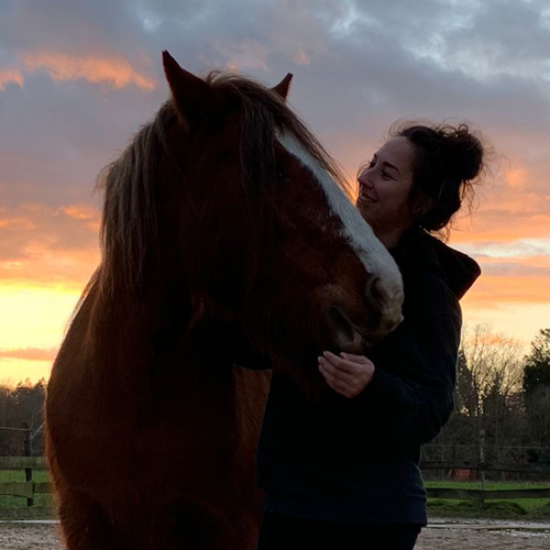 denice verwoert, bewegingsanalist, Mastery, Horse Gait analysis