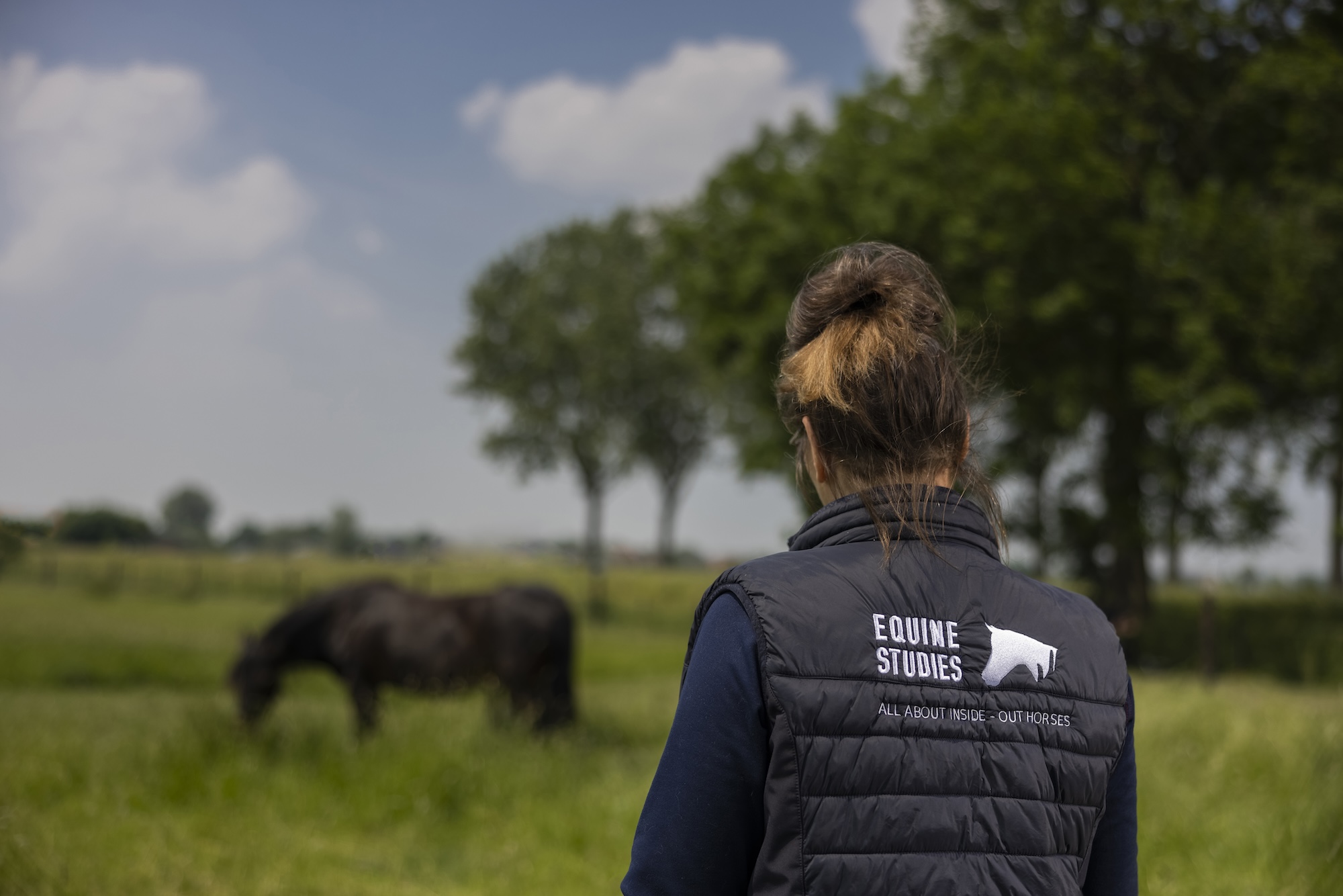 Online cursus, paardencursus, paardenanatomie, paardenbiomechanica, zefanja vermeulen, observeer je paard