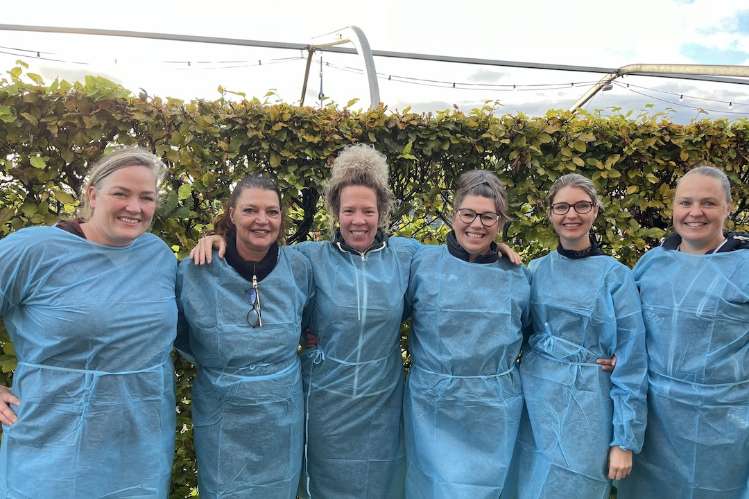 equinestudies, gastdocenten, zefanja vermeulen, thirza hendriks, Tamara dorresteijn, Anne schuite, Jose Pouwer