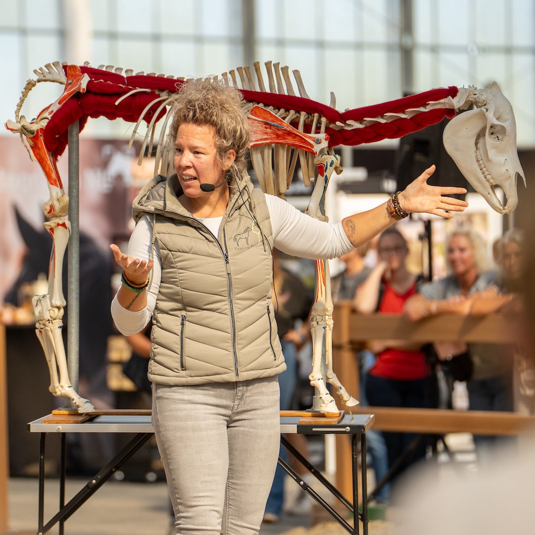 Passive physio, tamara dorresteijn, autobanden, paddock paradise, paardenlichaam, paardencursus, browsen, paardeneten