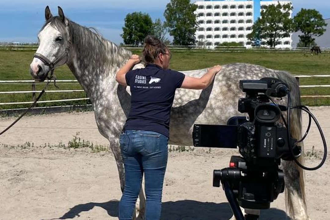 webinars, the horse inside out, zefanja vermeulen, paard
