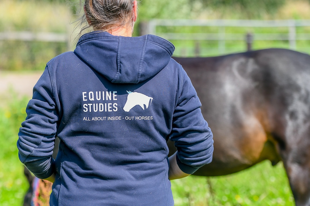 contact, equinestudies, zefanja vermeulen