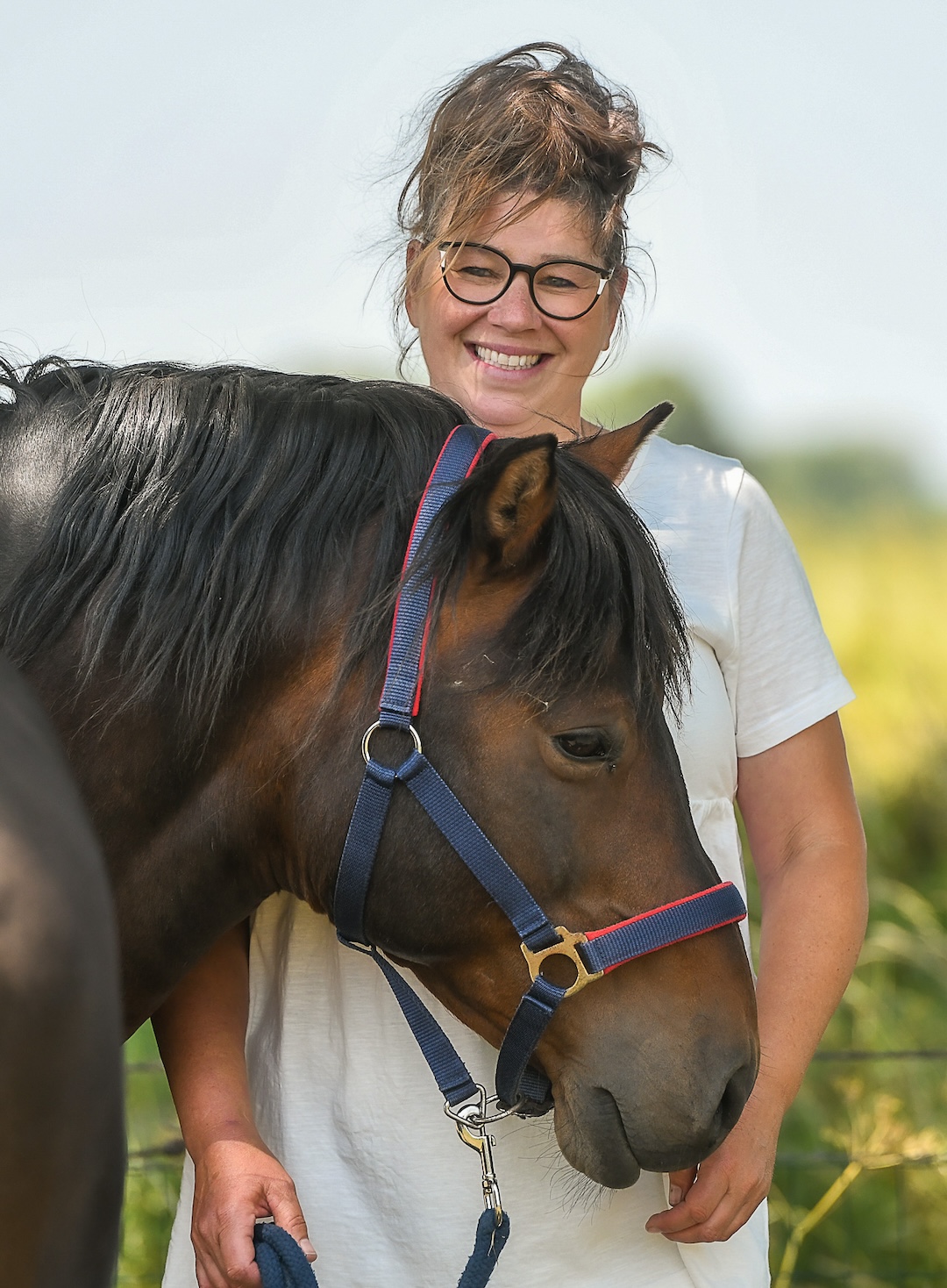 Online cursus, paardencursus, paardenanatomie, paardenbiomechanica, zefanja vermeulen, observeer je paard, rusten
