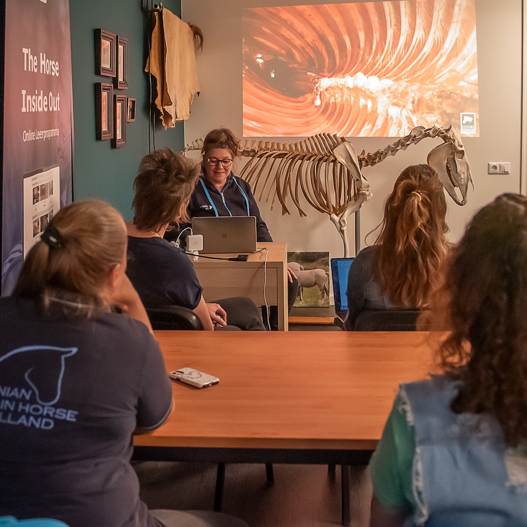 webinar, the horse inside out, paard, zefanja vermeulen, equinestudies