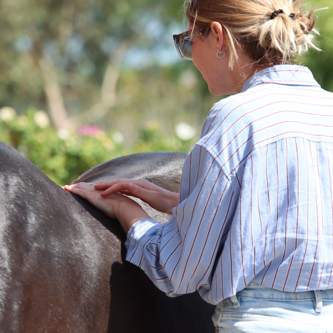mastery horse gait analysis, equinestudies, zefanja vermeulen, beweging paard, paardenbot, fase 3