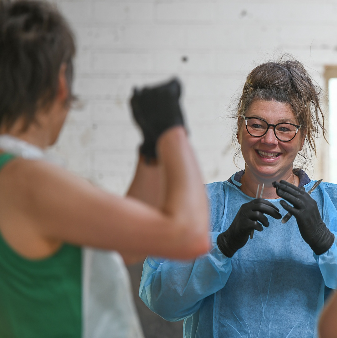 mastery horse gait analysis, equinestudies, zefanja vermeulen, beweging paard, paardenbot, fase 3