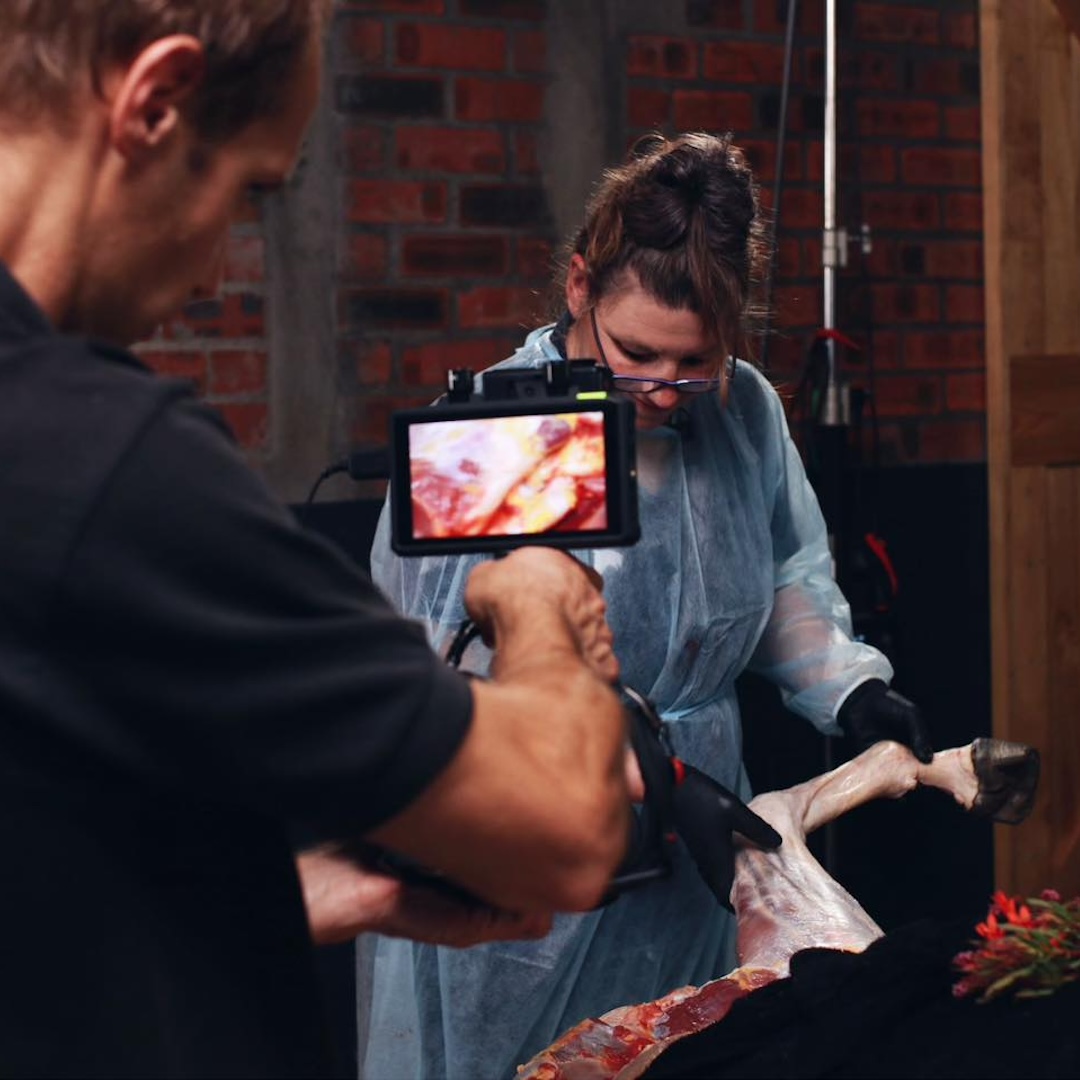 webinars, the horse inside out, zefanja vermeulen, paard