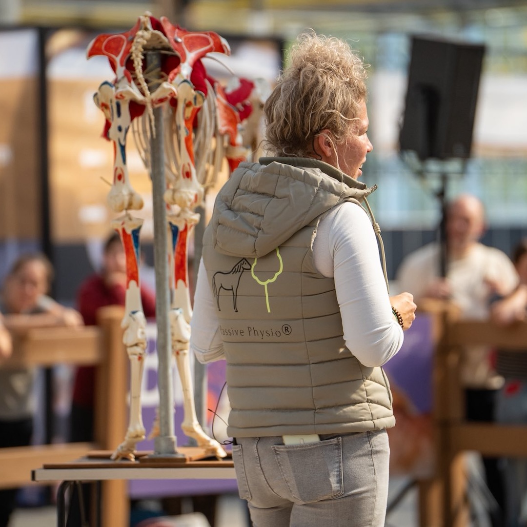 Gastdocenten, equinestudies, mastery, dissecties