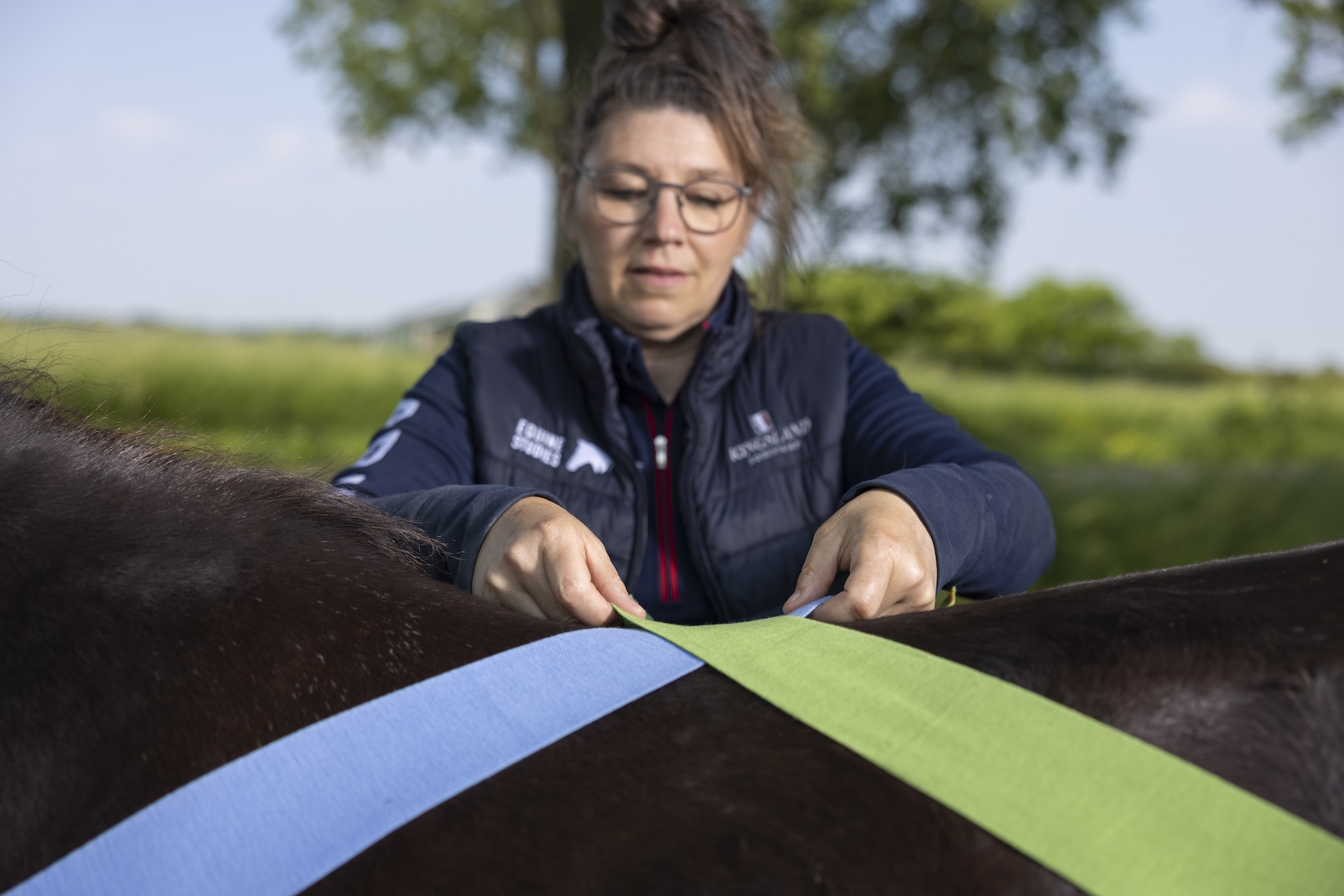 equinestudies, zefanja vermeulen, the horse inside out, mastery horse gait analysis, opleiding, paarden