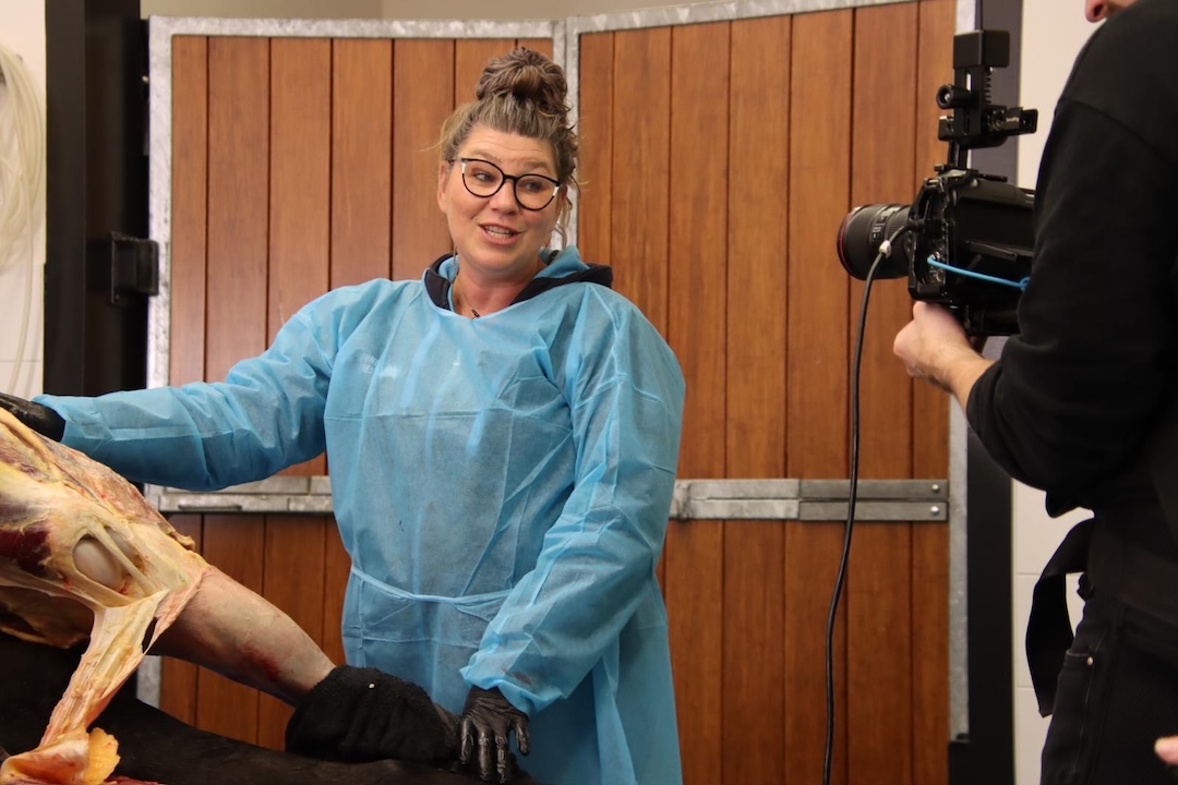 Online dissectie 2025