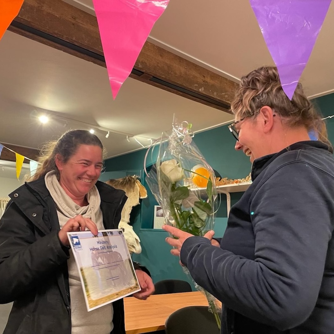 bewegingsanalist, mastery horse gait analysis, anatomie, biomechanica, zefanja vermeulen, equinestudies