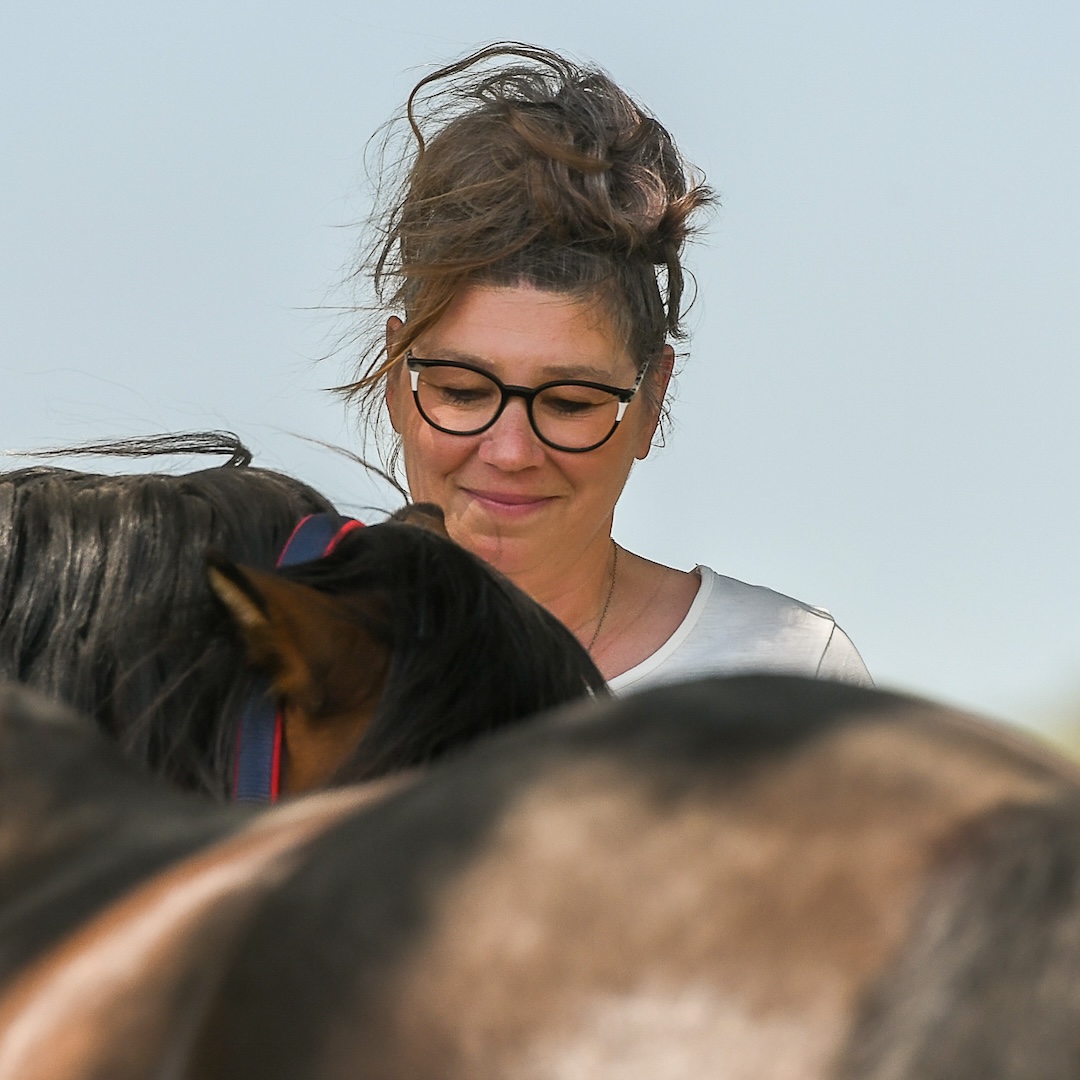 mastery horse gait analysis, equinestudies, zefanja vermeulen, beweging paard, palperen