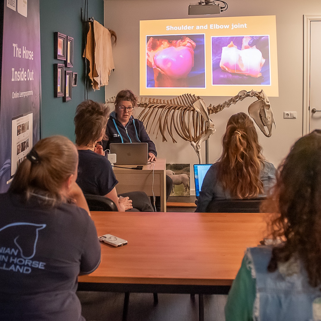 equinestudies, zefanja vermeulen, the horse inside out, mastery horse gait analysis, opleiding, paarden