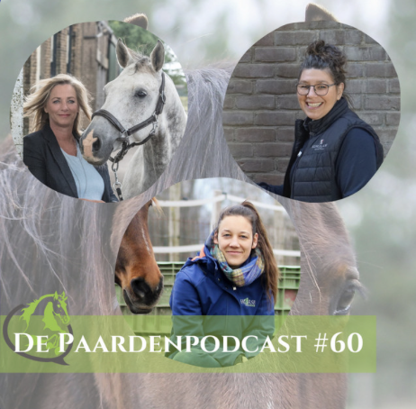 podcast, paardenpodcast, ondernemen, paarden, Zefanja vermeulen, Rianne dekker, Annemarie van der toorn