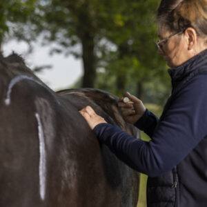 The Horse Inside Out - Deel 1, 2 & 3