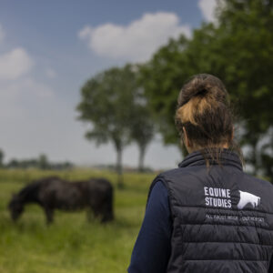 Online cursus 'Body Basics'