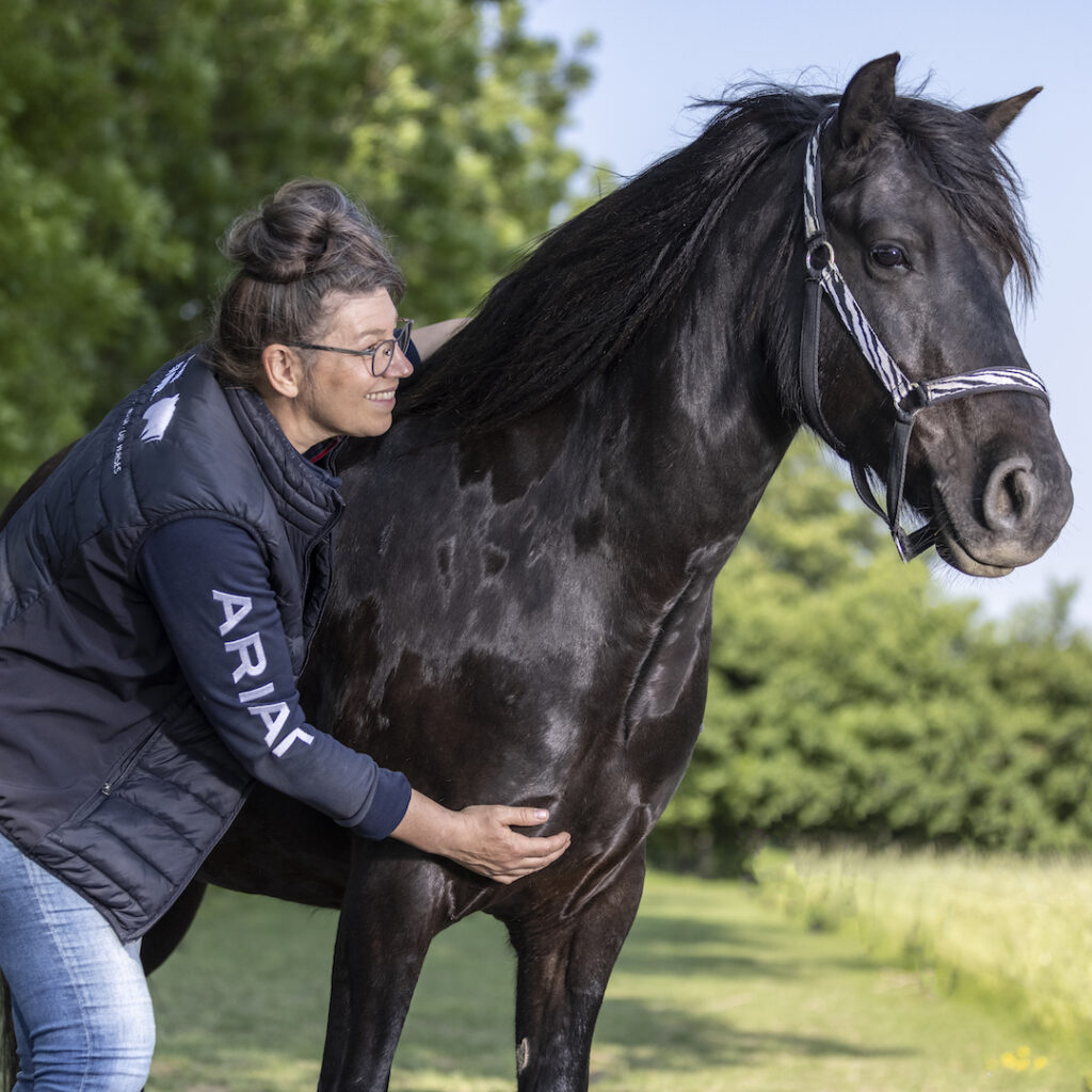 verlenging, the horse inside out, Zefanja Vermeulen