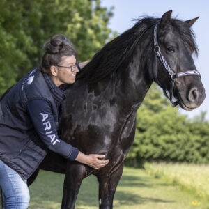 verlenging, the horse inside out, Zefanja Vermeulen