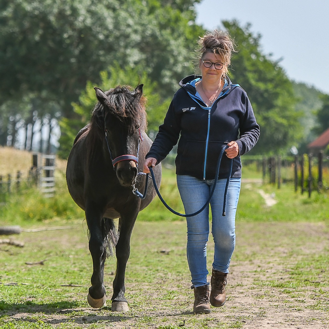 webinar, biomechanica, the horse inside out, paard, beweging, zefanja vermeulen