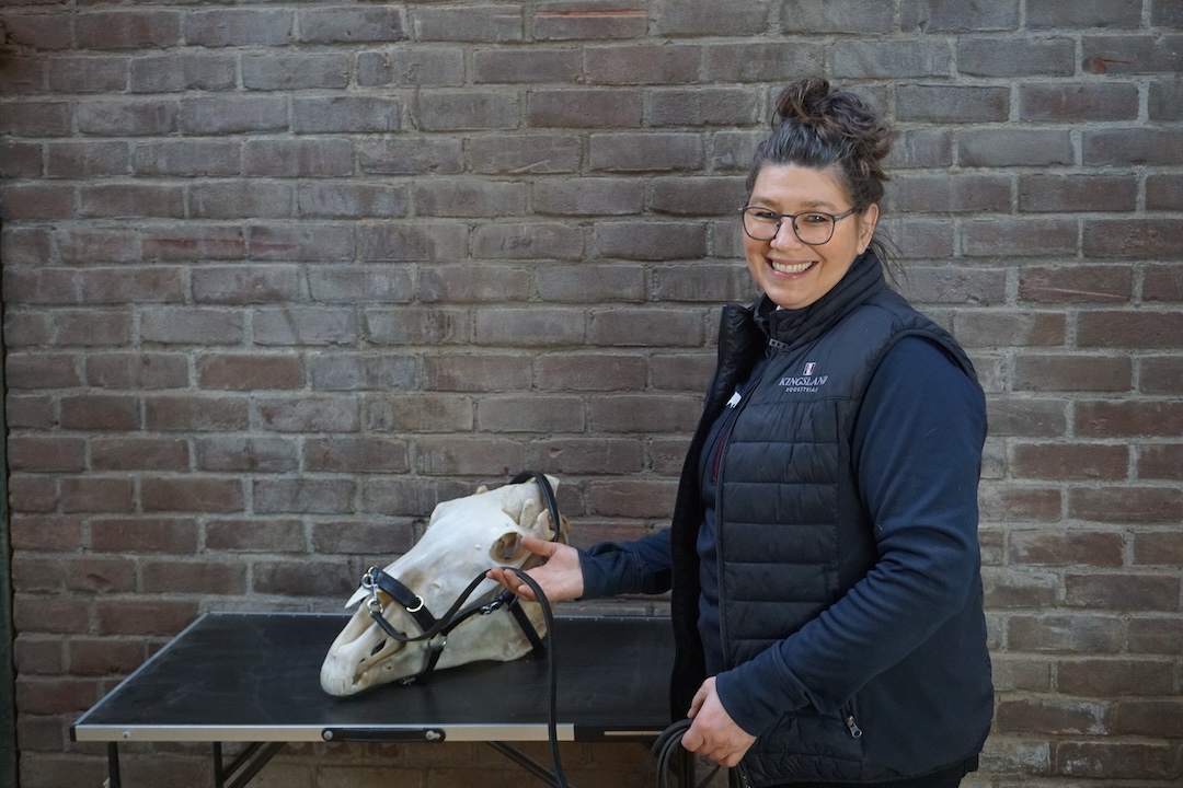 webinar, biomechanica, the horse inside out, paard, beweging, rug, harnachement