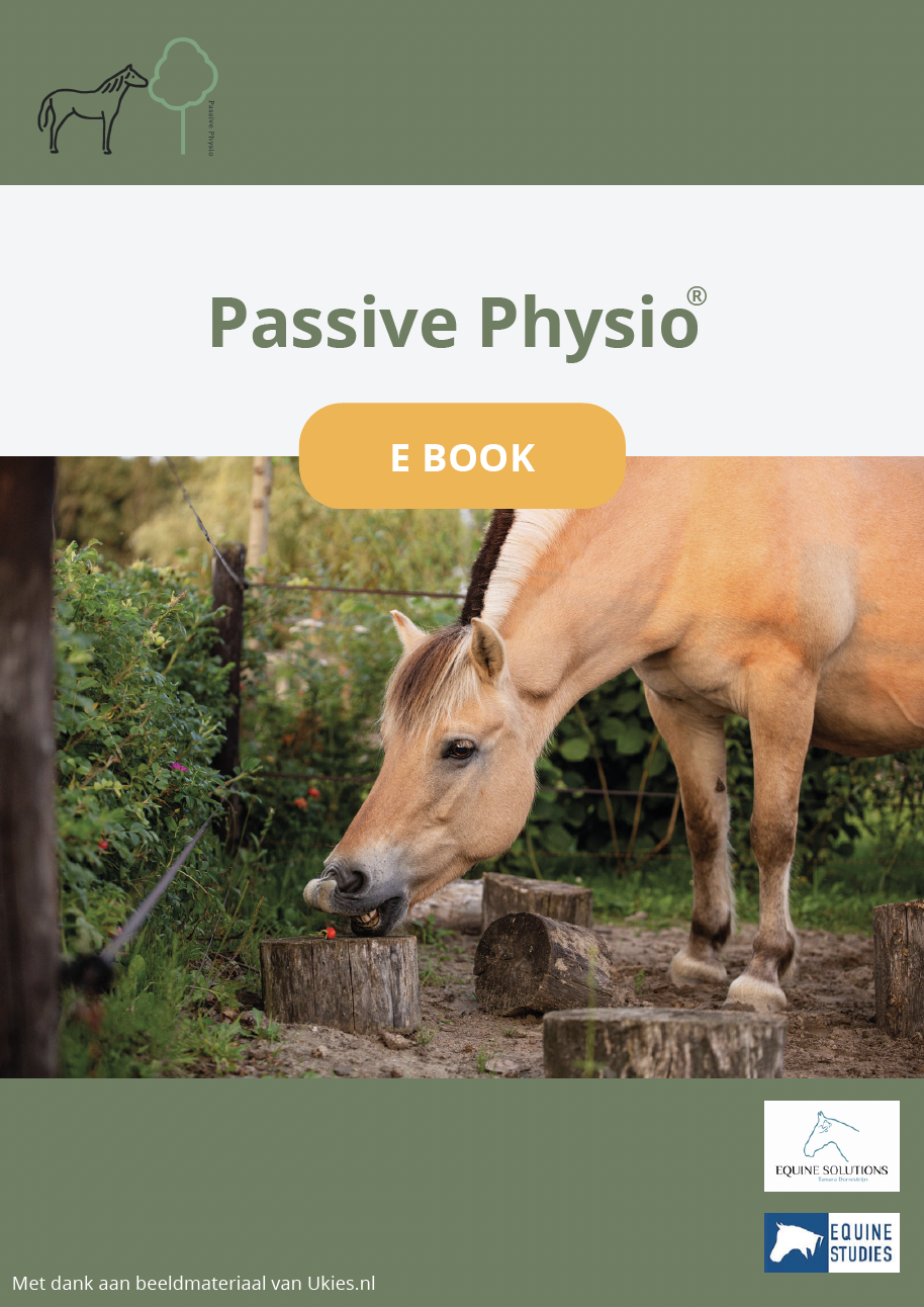 Passive physio, paard, tamara dorresteijn, zefanja veremeulen