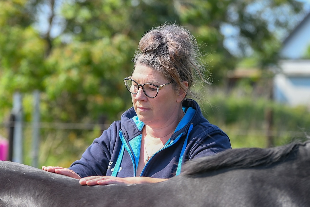 webinar, biomechanica, the horse inside out, paard, beweging, rug