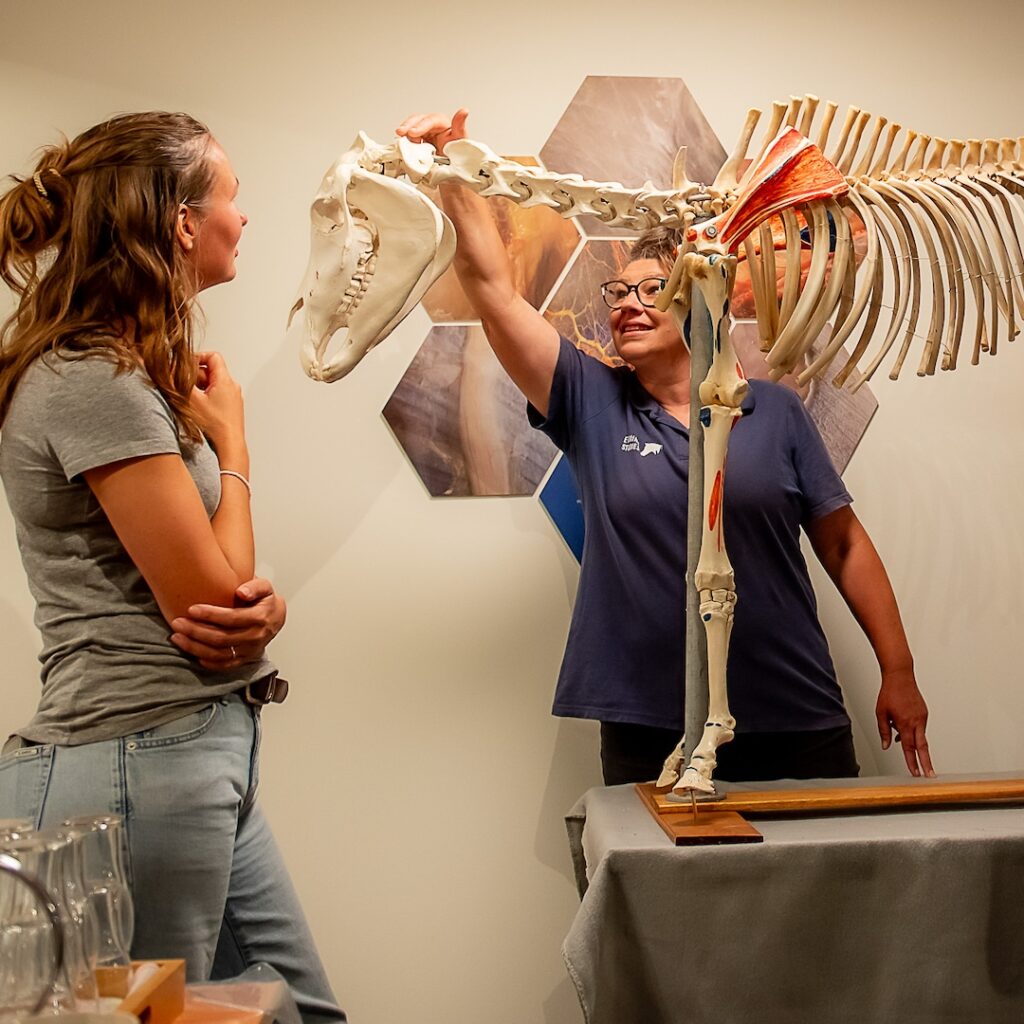 lamellen, paard, C6, C7, EVCM, Zefanja Vermeulen, Sharon May Davis