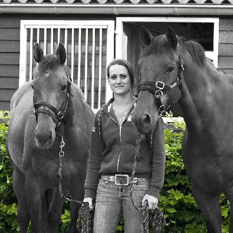 Hannah Otte, bewegingsanalist, Mastery, Horse Gait analysis